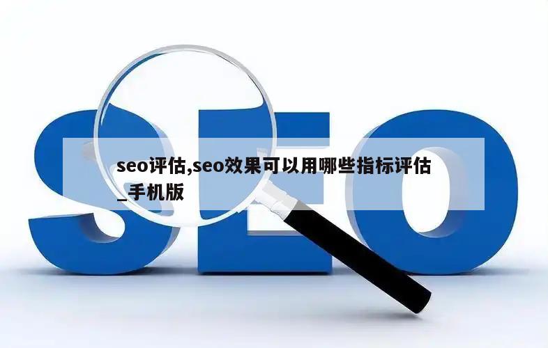 seo评估,seo效果可以用哪些指标评估_手机版